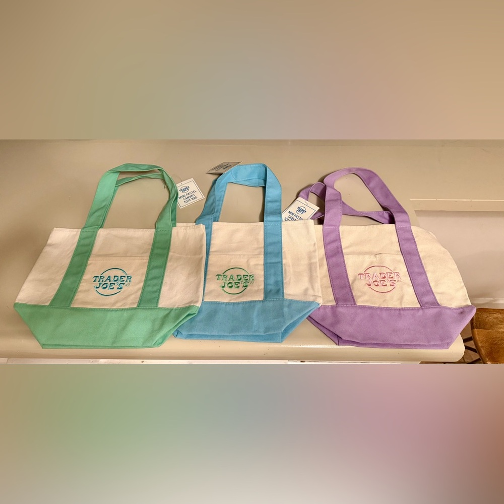 Trader Joe's Mini Canvas Tote - Pastel Blue Trim
